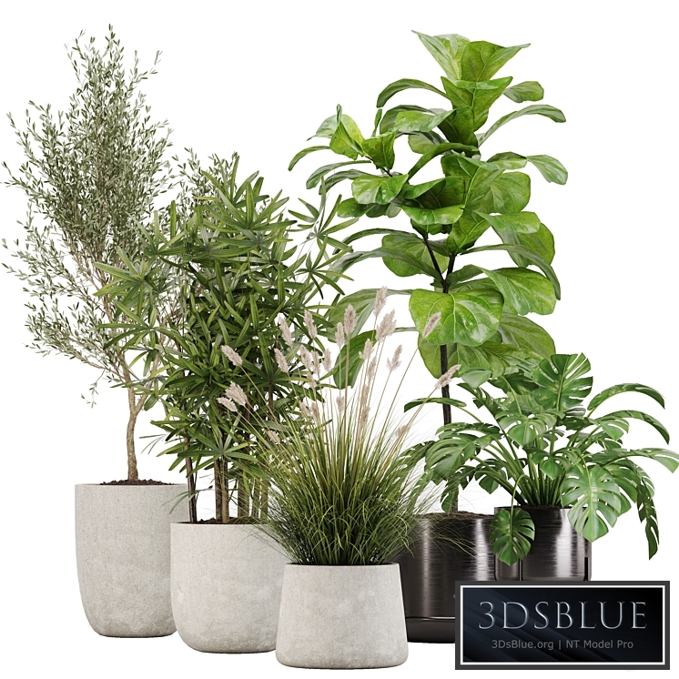 indoor plant set 32
