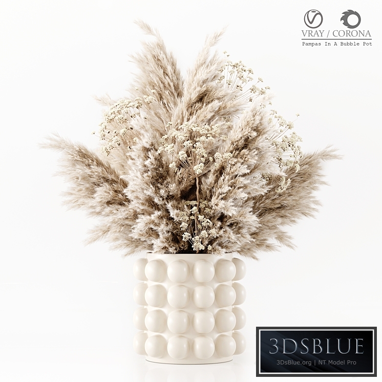 Pampas In A Bubble Pot