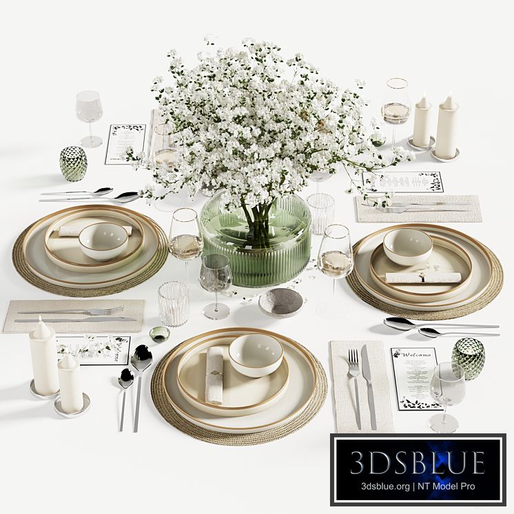 tableware set14