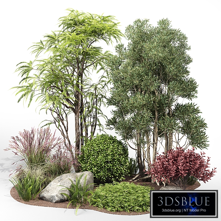 Outdoor Collection 1