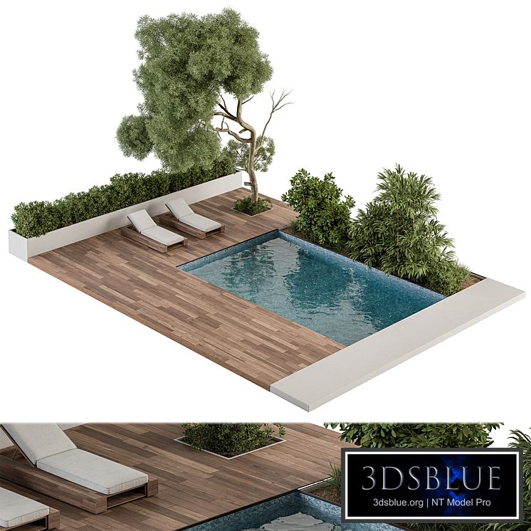 Backyard and Landscape Furniture with Pool - Set 63(Corona)