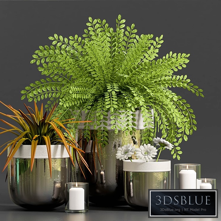 DECORATIVE PLANT WITH GERBERA FLOWER