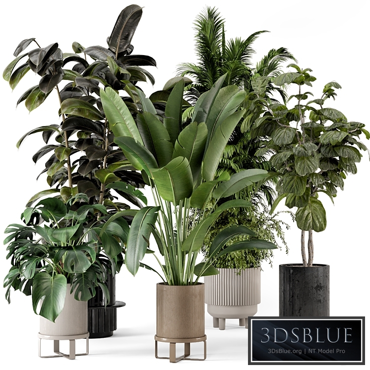 Indoor Plants in Ferm Living Bau Pot Large - Set 734