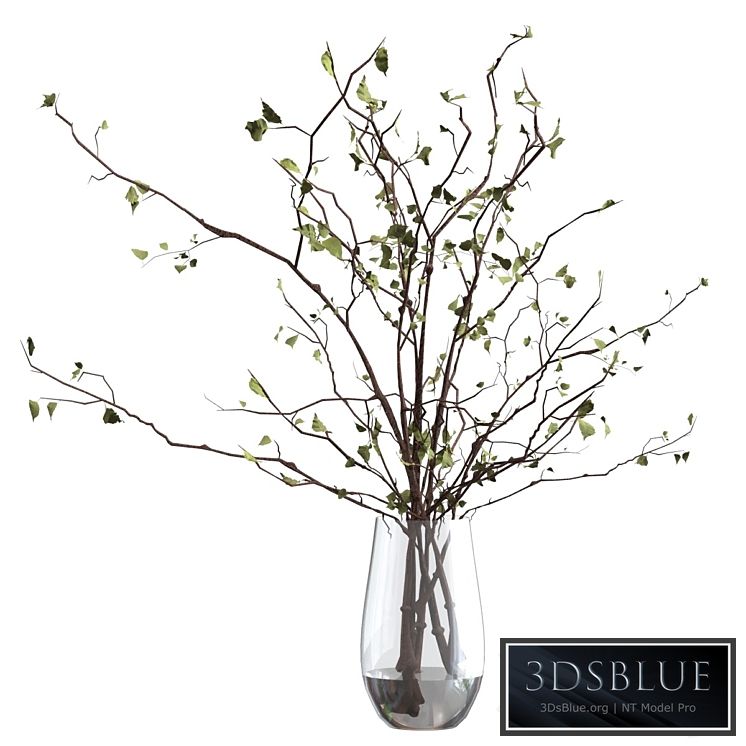 Branches in a vase
