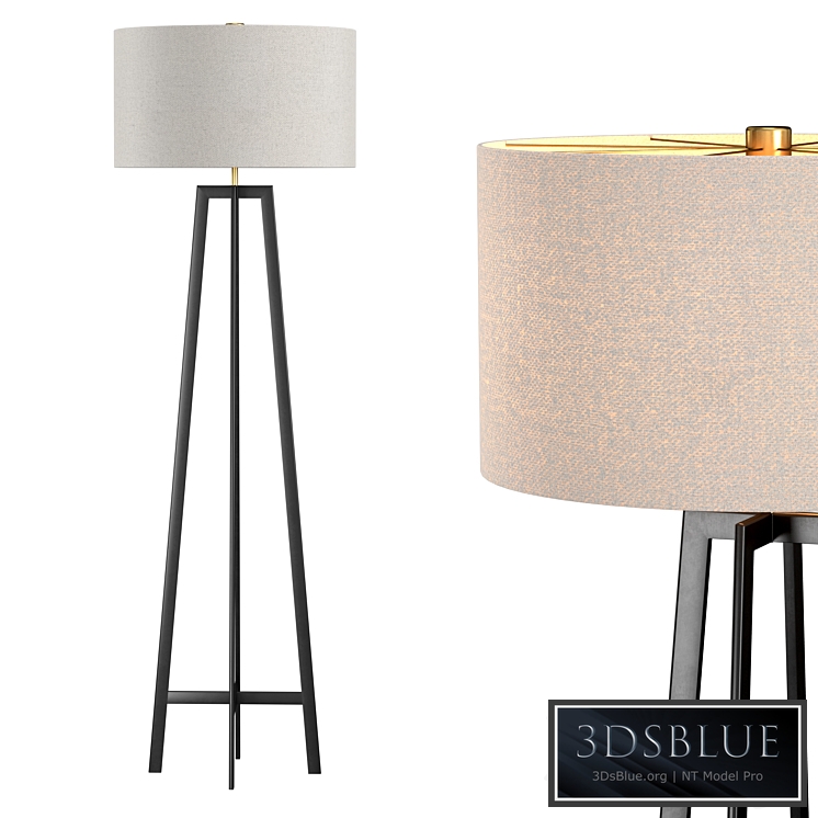 Castillo Black Floor Lamp