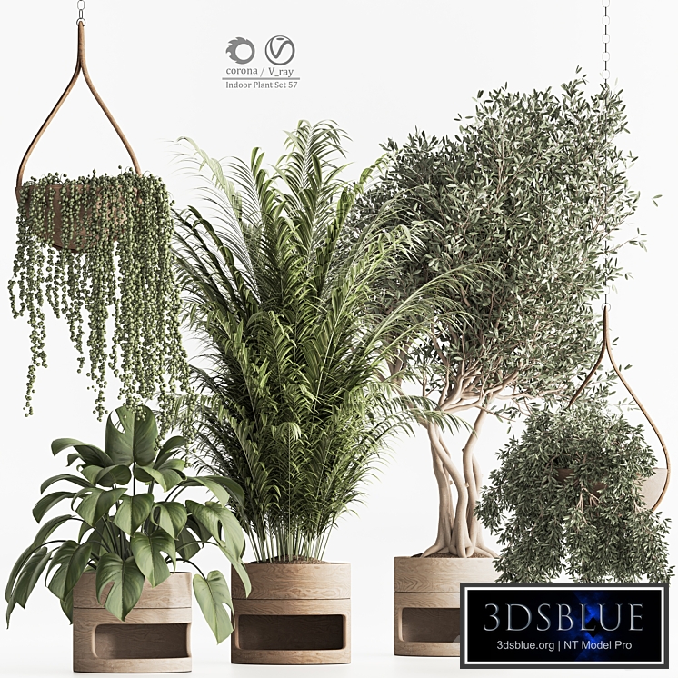 Indoor Plant Set 57