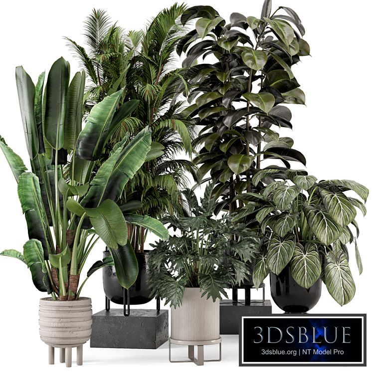 Indoor Plants in Ferm Living Bau Pot Large - Set 740