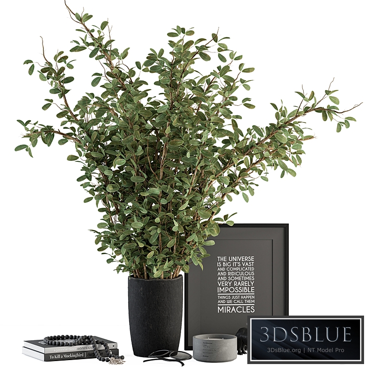 Vase and Plant Decorative Set - Set 119