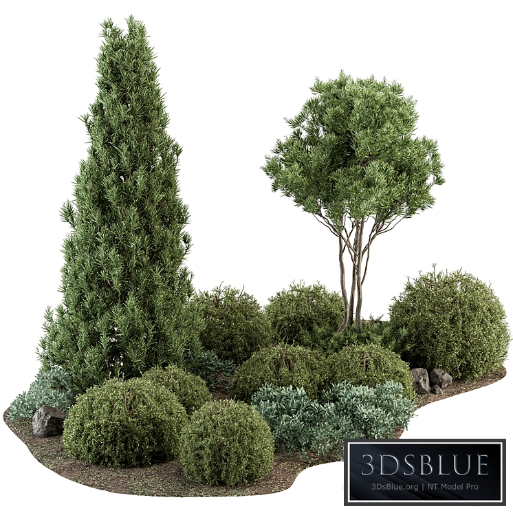 Garden Set Topiary and pine Plants - Outdoor Plants Set 410