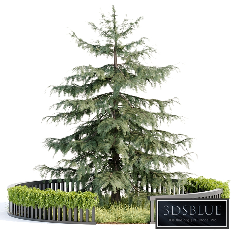 Outdoor Garden vol 106