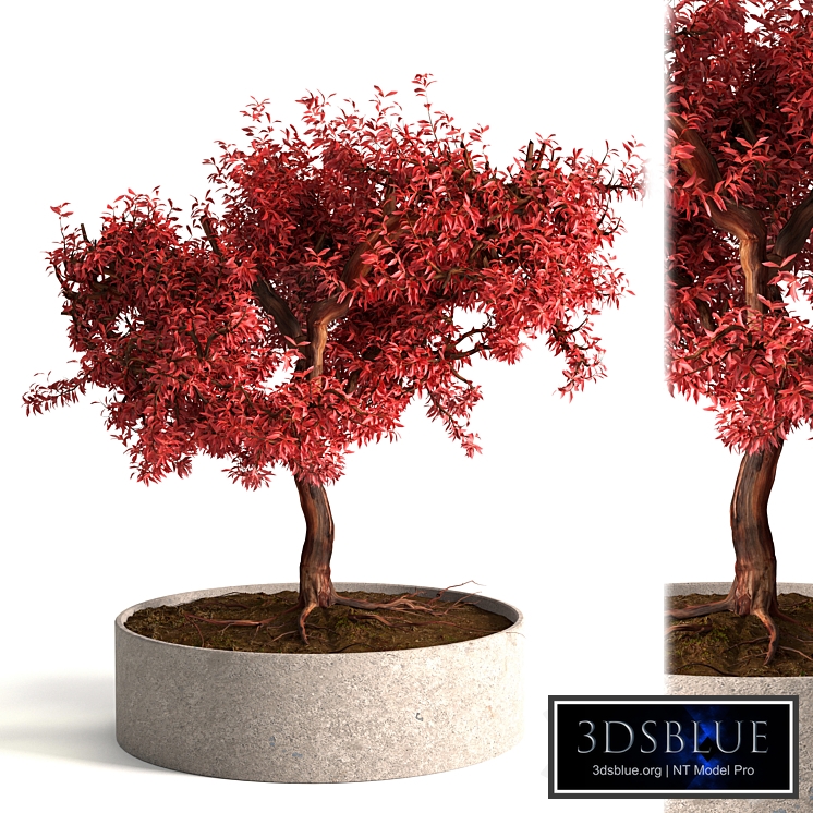red decorative tree