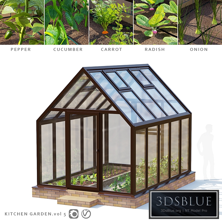 Garden. Greenhouse | Kitchen garden.vol 5