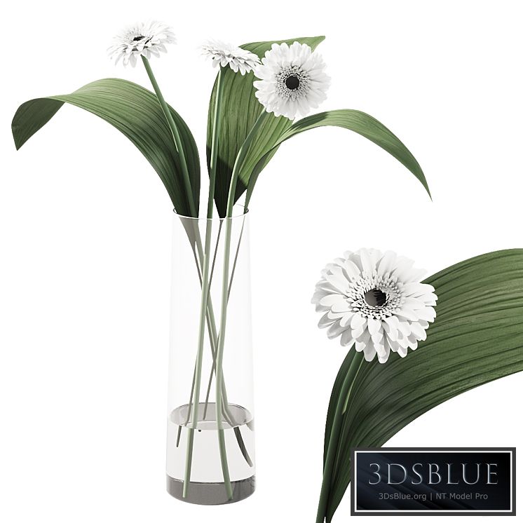 021 Flowers and leaves in vase indoor decor plant