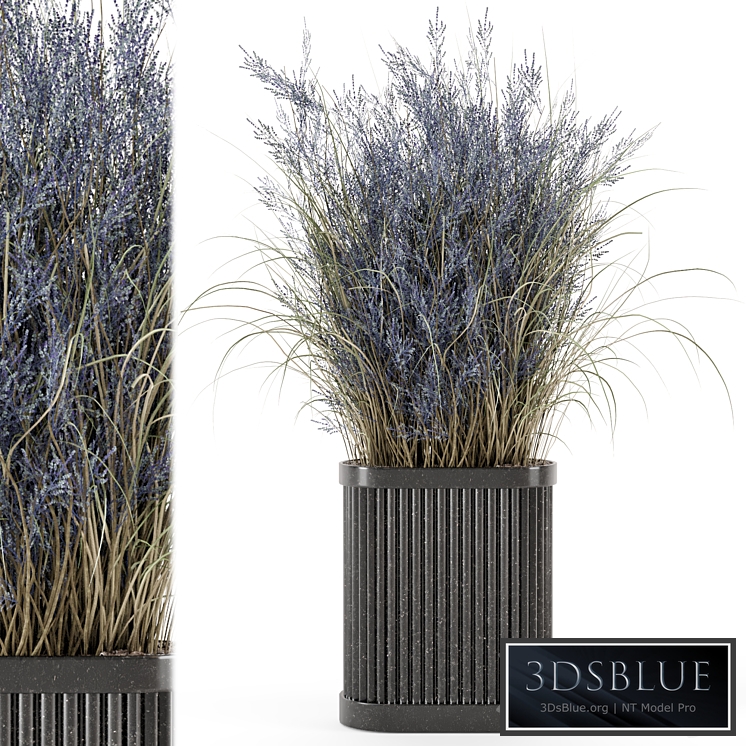 Indoor Dry Plants in Handmade Stone Pot - Set 773