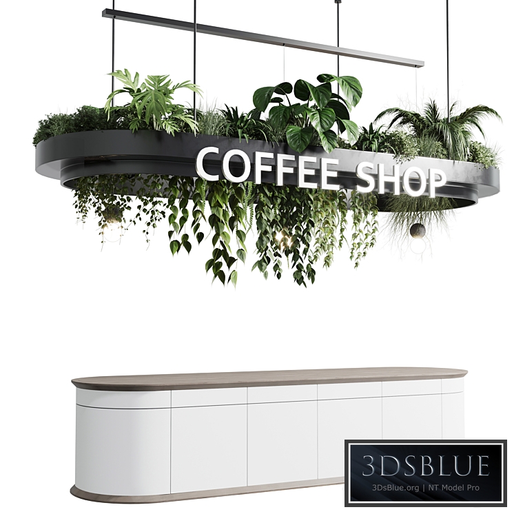 Coffee shop reception, Restaurant counter by hanging plant - corona 01