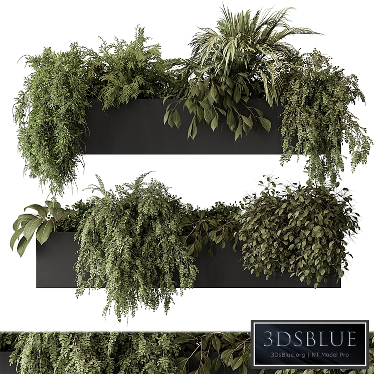 indoor Plant Set 297 - Hanging Plants