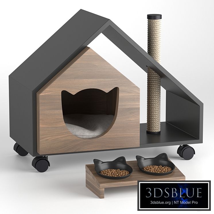 Cat&#39;s house Tory and bowl