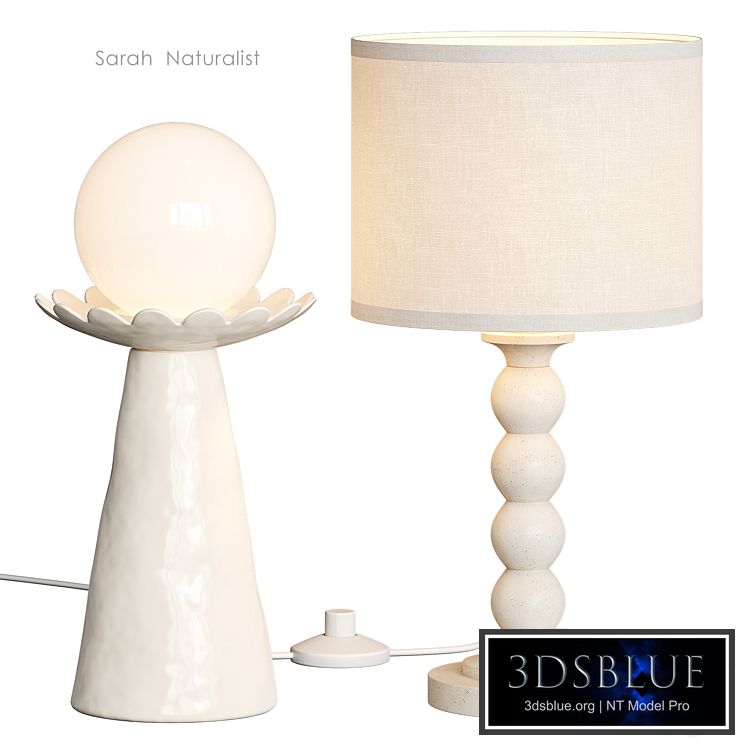 Naturalist Sarah West Elm Table Lamp