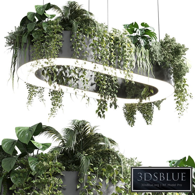 pot light - pendant plant light hanging 06 corona