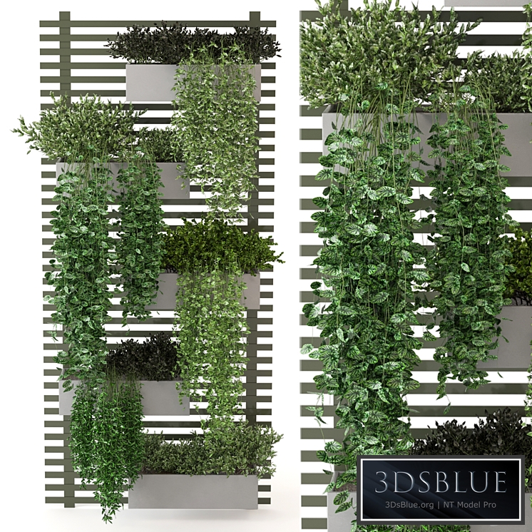 Indoor Plants Collection - Set 393