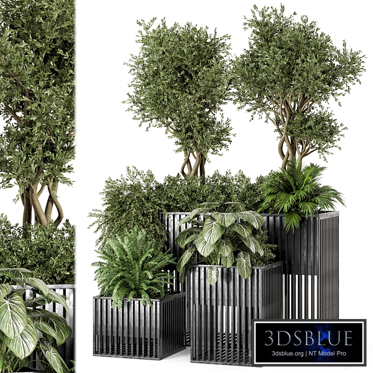 Outdoor Plants in Metal Pots - Set 802