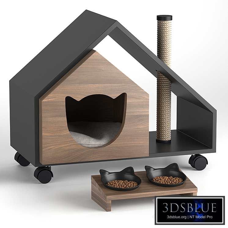 Cat"s house Tory and bowl