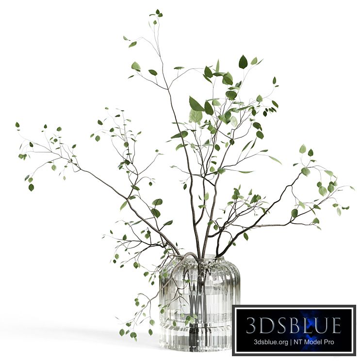 Branches plant with galss vase white - bouquet 22