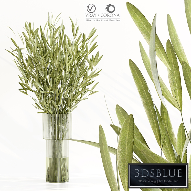 Olive In Dina Fluted Glass Vase