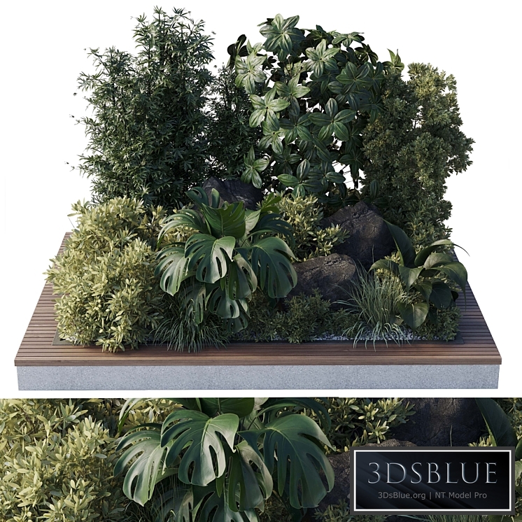 Collection outdoor indoor 101 pot plant