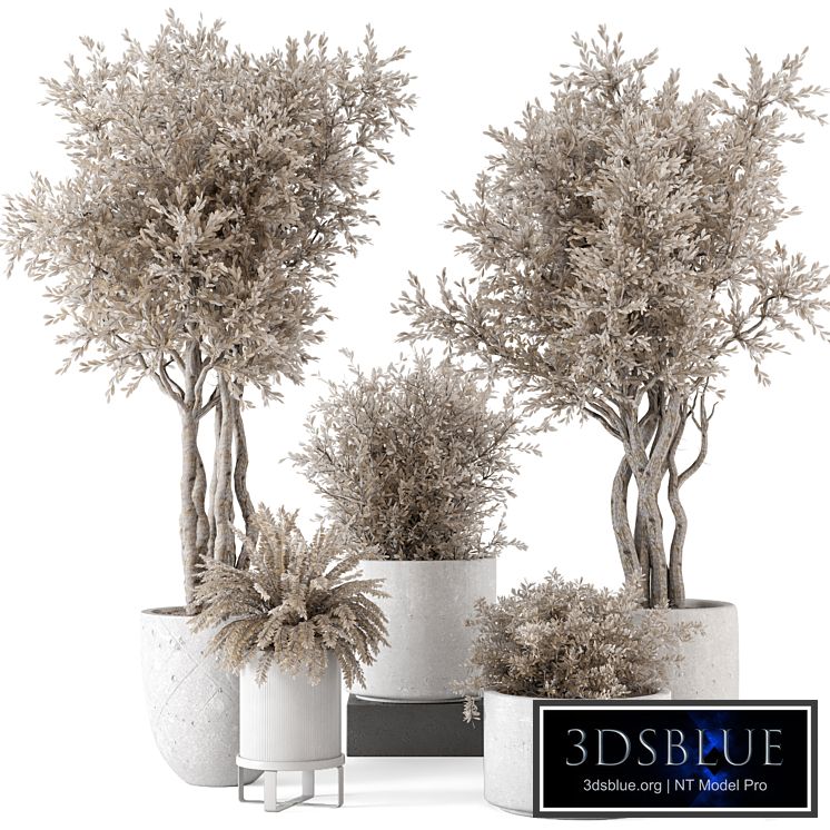 Indoor Plants in rusty Concrete Pot - Set 809