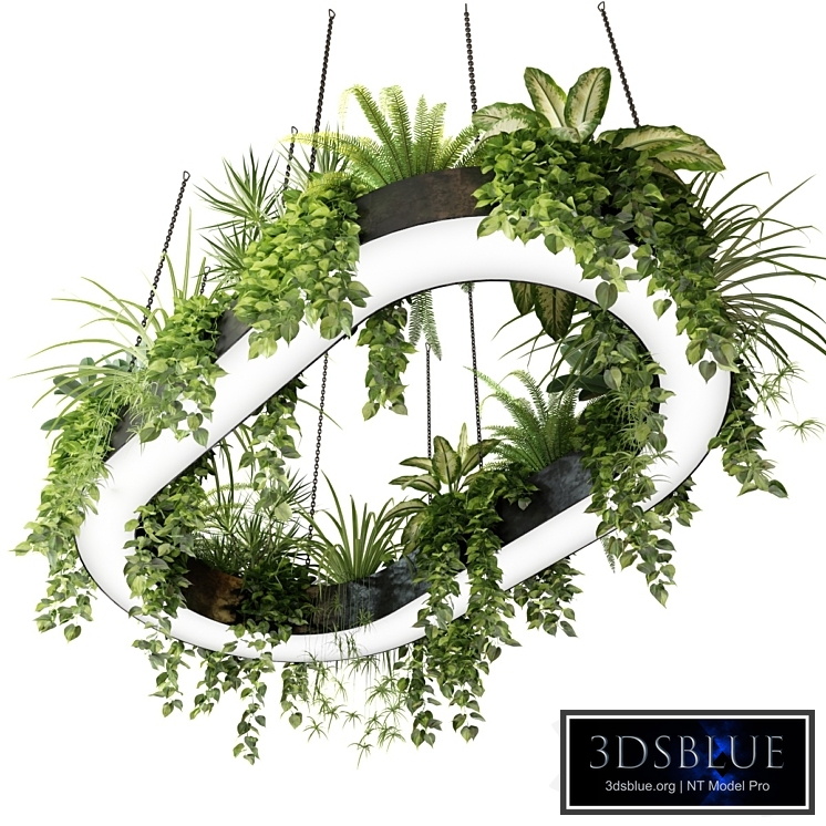 Ring planter lamp with plants 1.5m x 2.5m