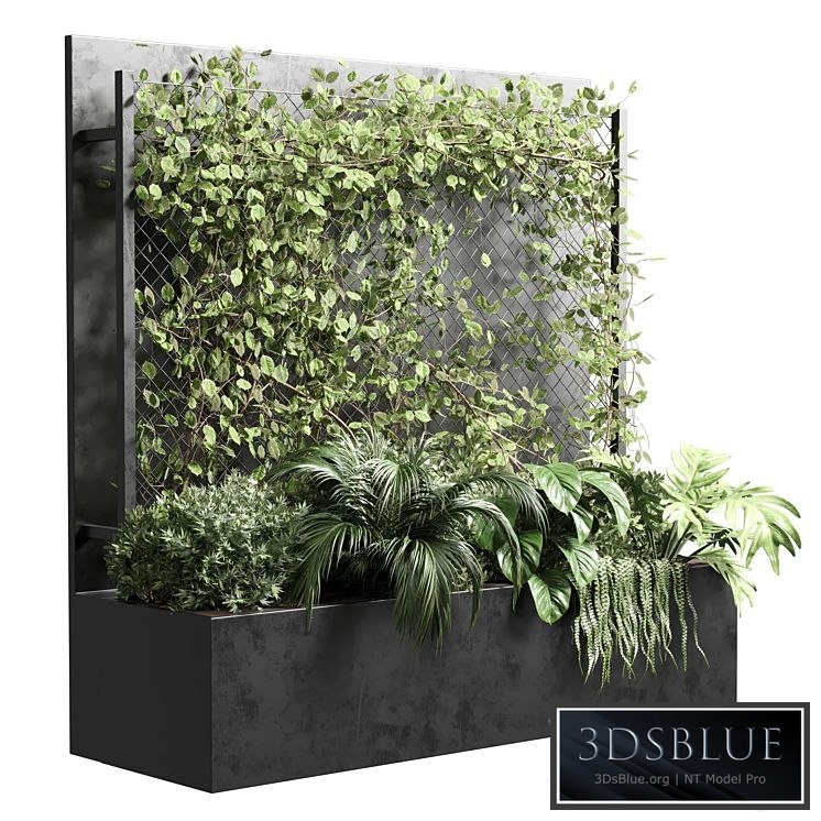 Ivy on Fence fitowall - vertical garden box 01