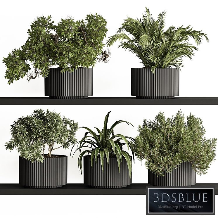 indoor Plant Set 402 - Small Plant pot
