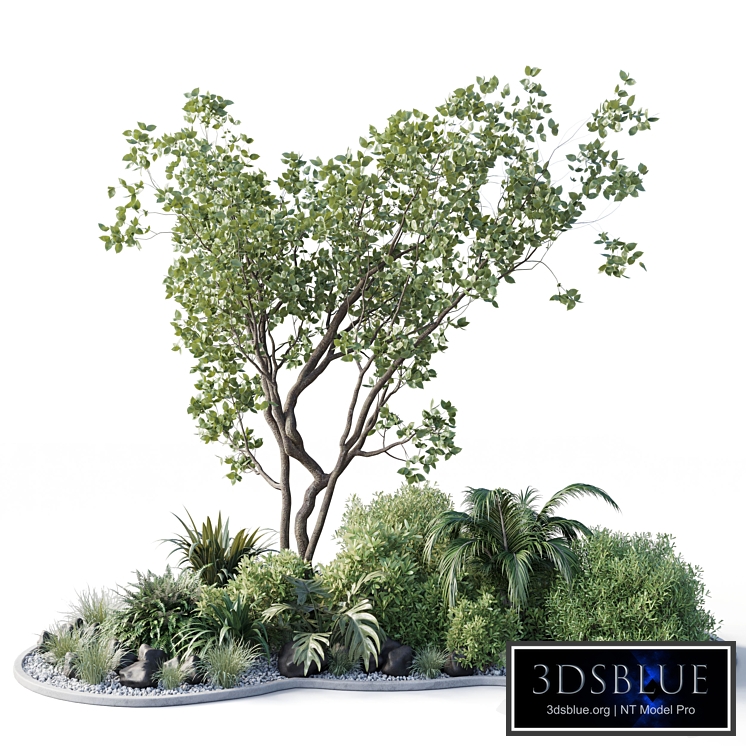 garden pot tree bush - Collection outdoor indoor 113
