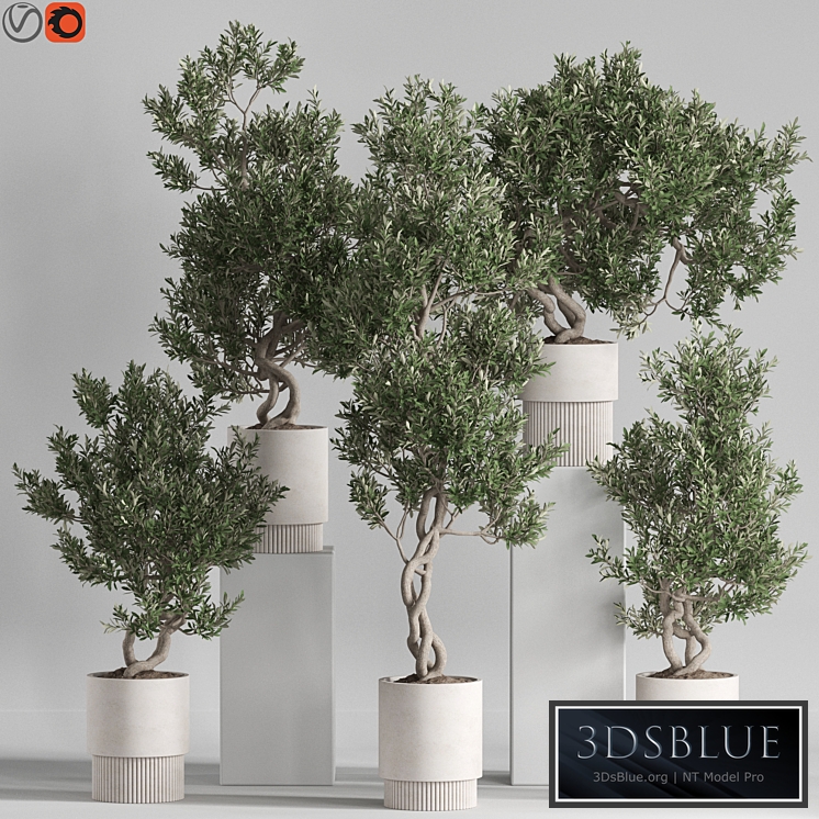 Plants collection 735