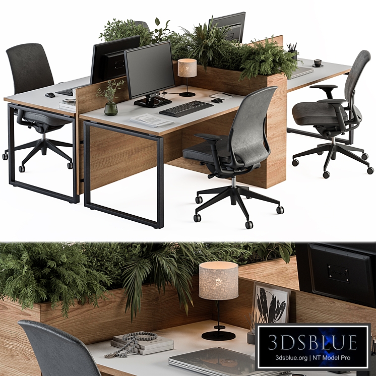 Employee Set Wood and Black Plant Box Divider - Office Furniture 336