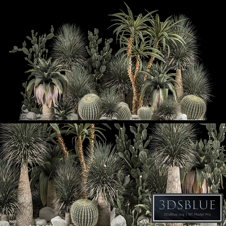 Collection of tropical plants of the desert 1117. cactus, yucca, prickly pear, thickets, bushes, garden, dracaena