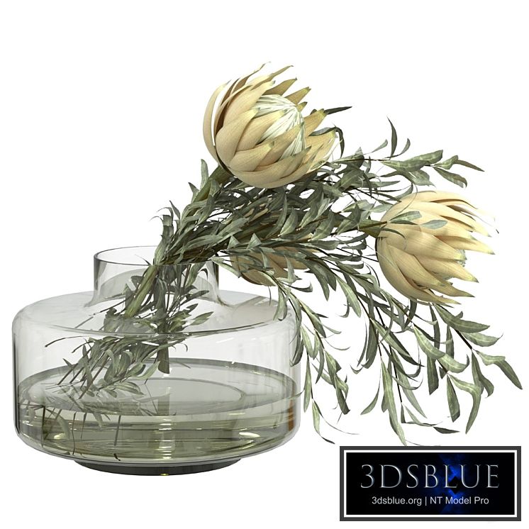 Bouquet of olive and protea branches