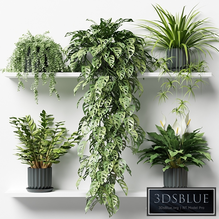 Plants on a shelf in ribbed pots