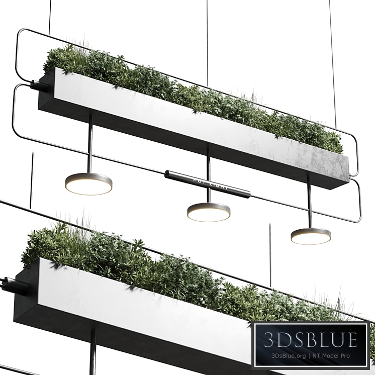 pot light - pendant plant light hanging 07