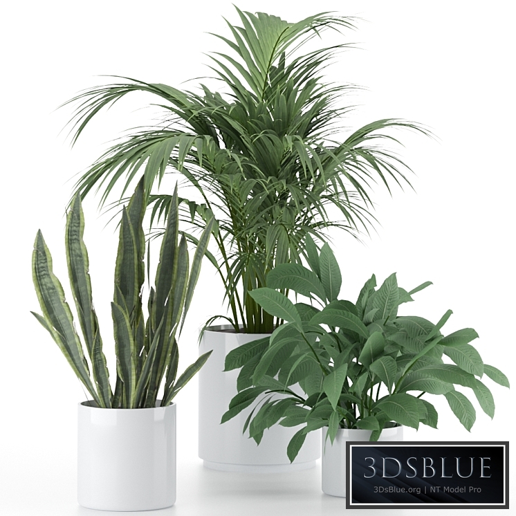 Plant-Set-001