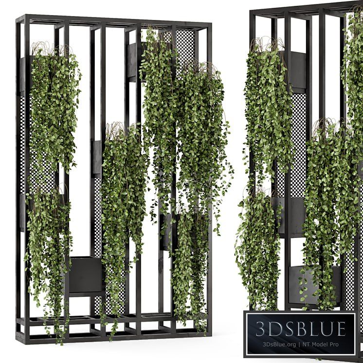 Indoor Hanging Plants in Metal Stand - Set 848