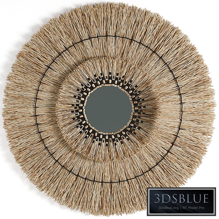 Mirror Tafari Uniqwa