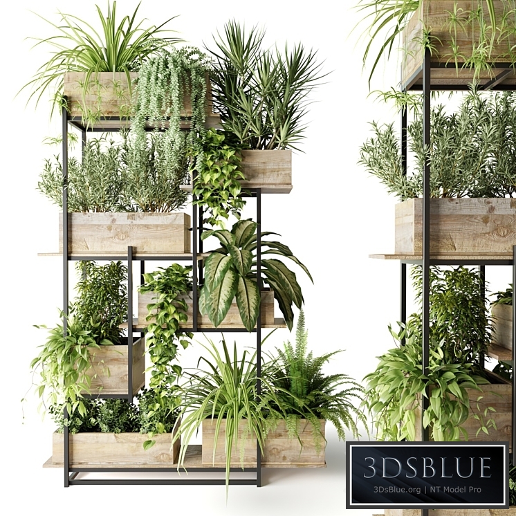 Metal rack with plants in wooden boxes