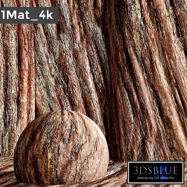 set bark PBR materials 002 arc