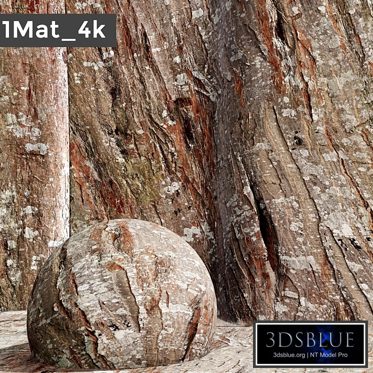 set bark PBR materials 003 arc