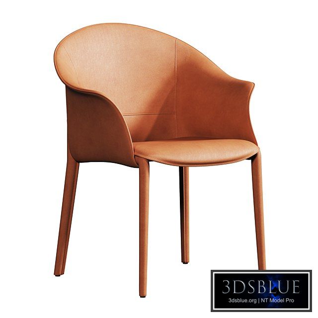 Leisure dining chair