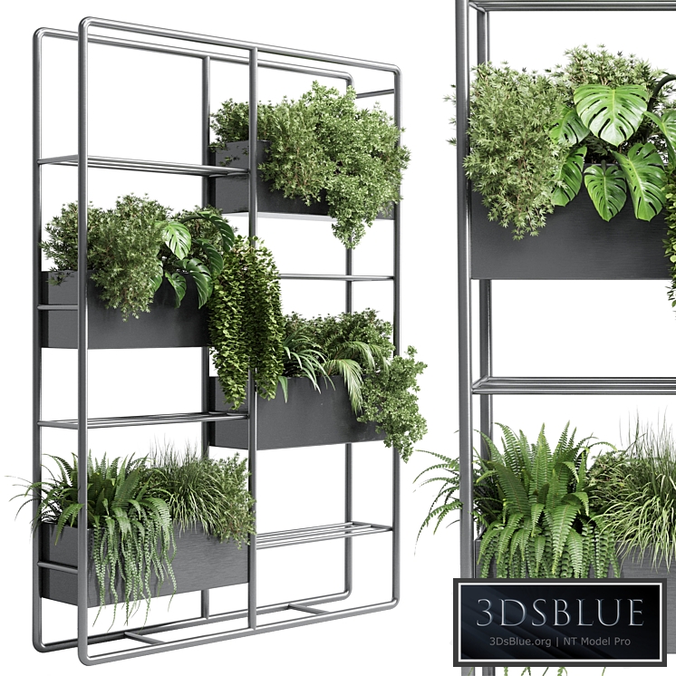 stand plant box - collection Indoor plant 254 metal vase pot fern grass