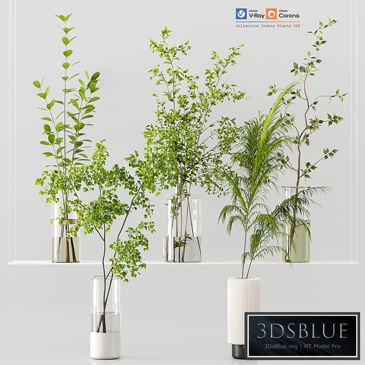 Collection Indoor Plants 028