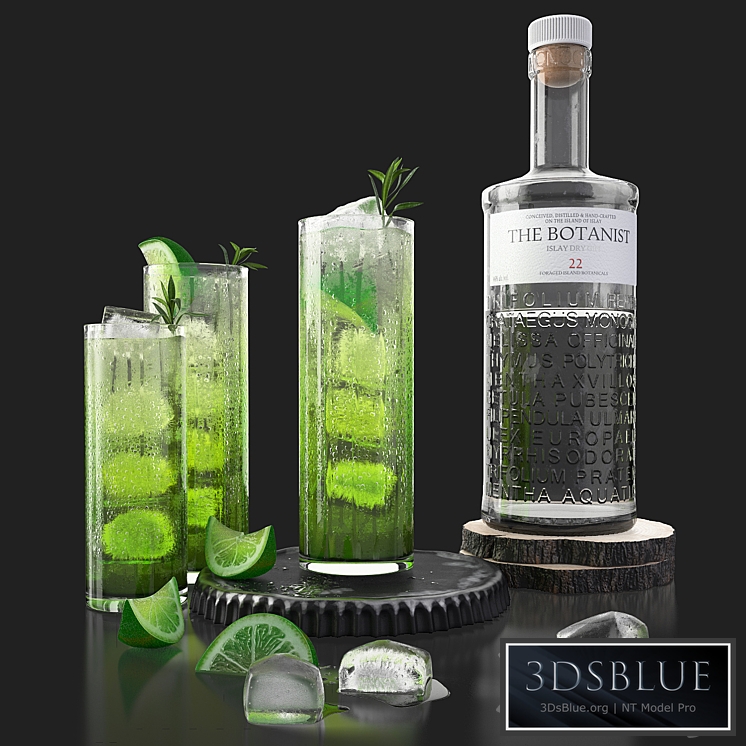 The Botanist gin and mojito with ice